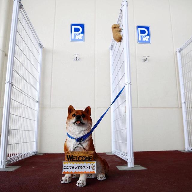 日本ikeaペット同伴禁止へ 駐 犬 場は独ikeaだけではなかった いぬドコー愛犬との想い出作りにドコ行こう