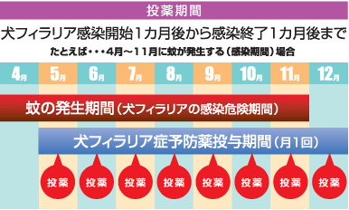 犬のフィラリア予防薬をお得に通販で買うには 我が家は レボリューション いぬドコー愛犬との想い出作りにドコ行こう