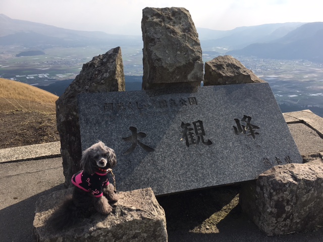 愛犬と阿蘇観光 阿蘇山の絶景にワンコ共々癒やされるワン いぬドコー愛犬との想い出作りにドコ行こう