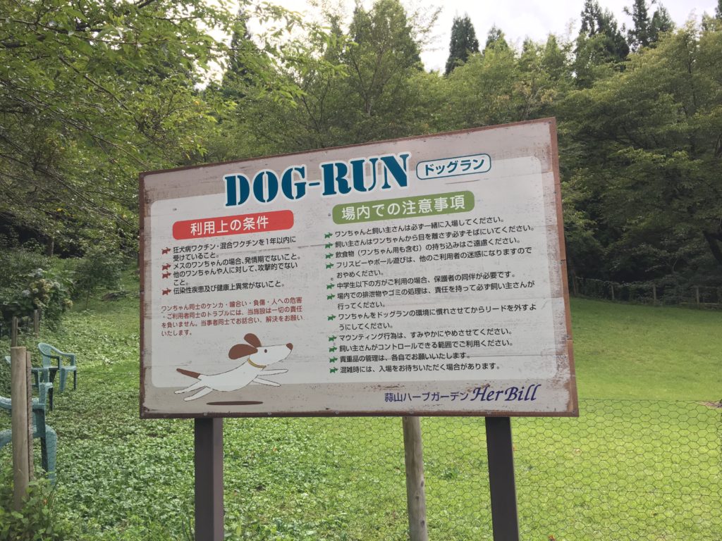 愛犬と歩く西日本最大級のラベンダー畑 蒜山ハーブガーデン ハービル いぬドコー愛犬との想い出作りにドコ行こう