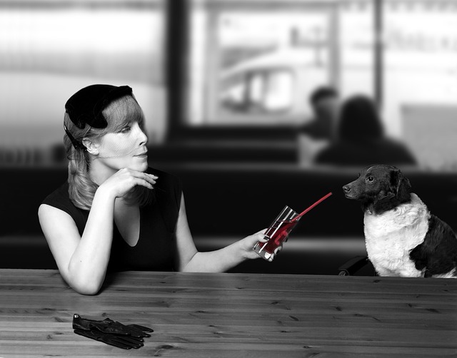 初めての「ドッグカフェ」ー注意しておきたい基本的なマナーとルール | いぬドコー愛犬との想い出作りにドコ行こう