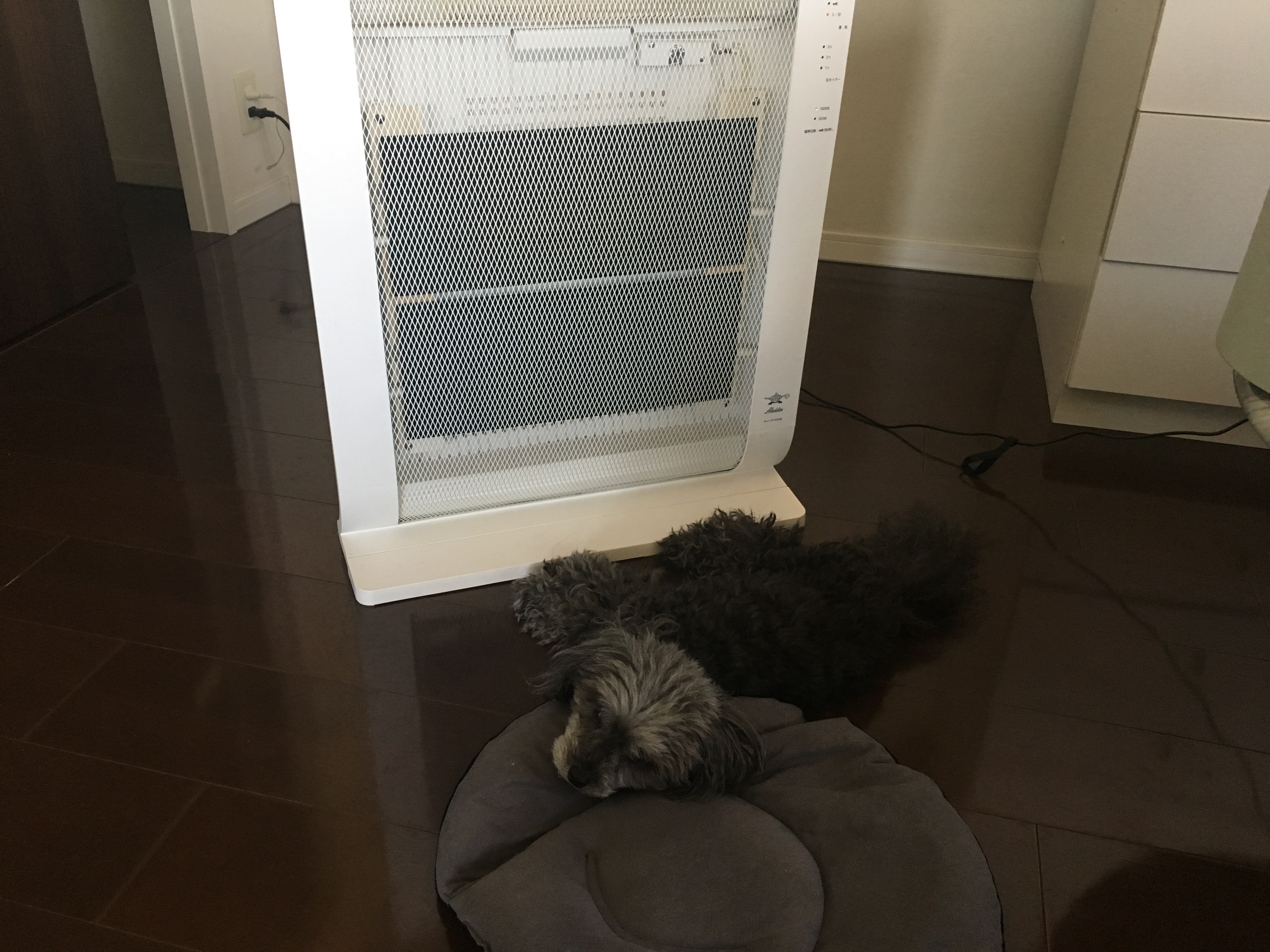 ペットにオススメの暖房器具はこれだ オシャレで安全な 遠赤外線パネルヒーター いぬドコー愛犬との想い出作りにドコ行こう