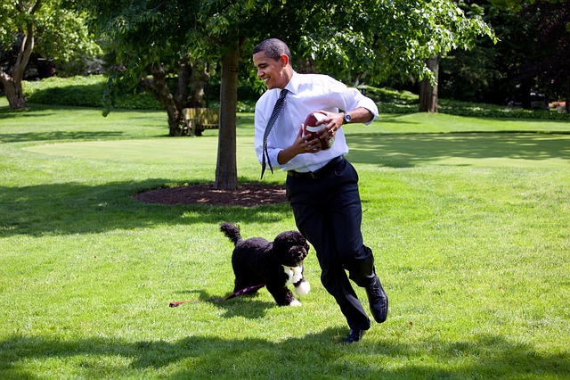 シブい俳優 吉田鋼太郎の愛犬もやっぱり渋い ーあのオバマ大統領も いぬドコー愛犬との想い出作りにドコ行こう